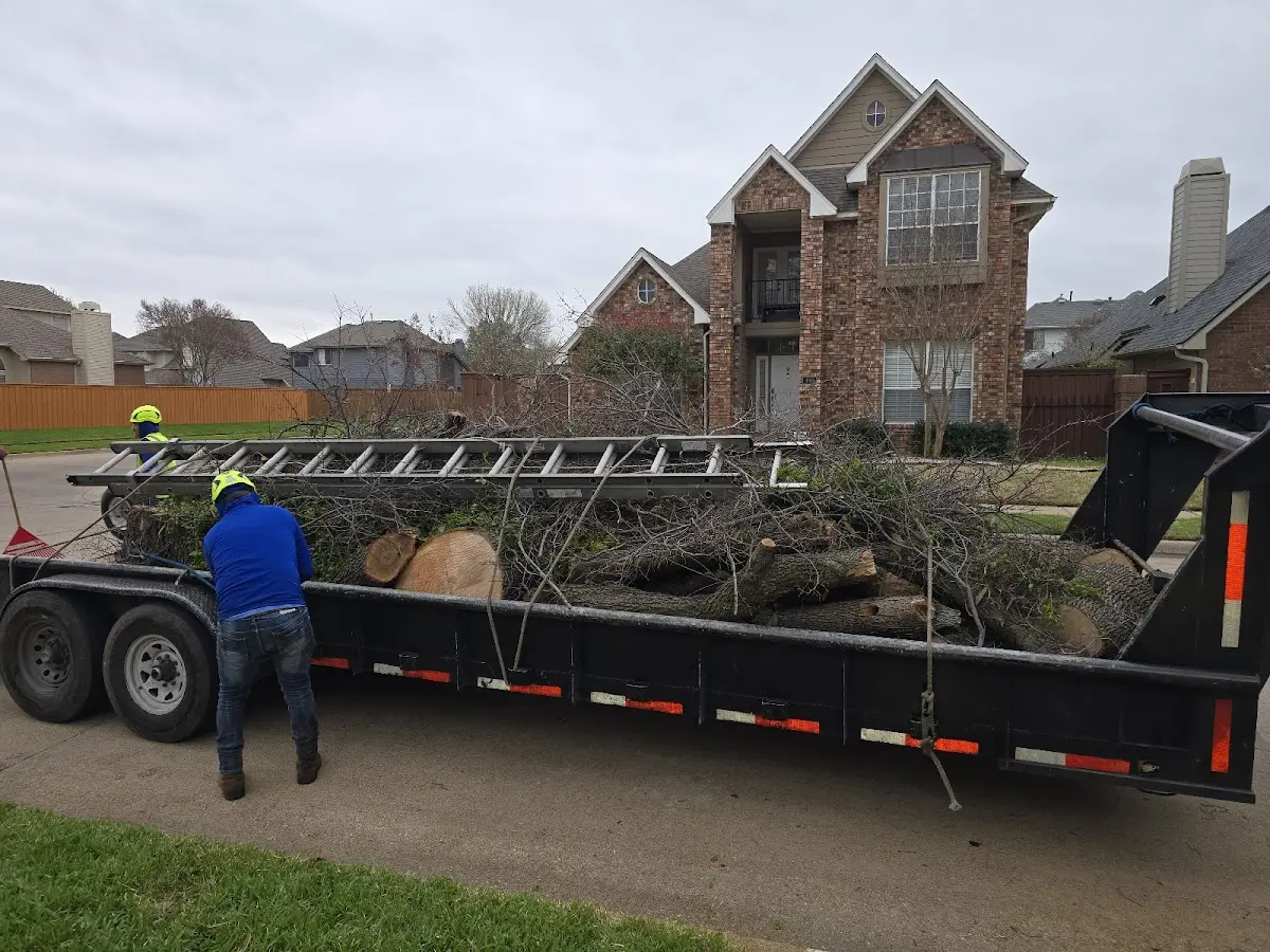 Expert Tree Pest Control with proper safety equipment in Due West